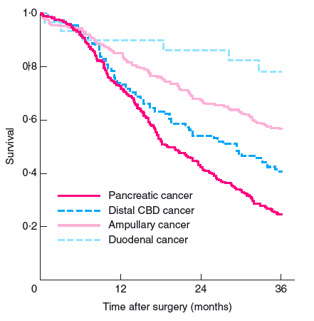 3 Year Survival After Resection In Patients With Pancreatic Cancer Evidencio